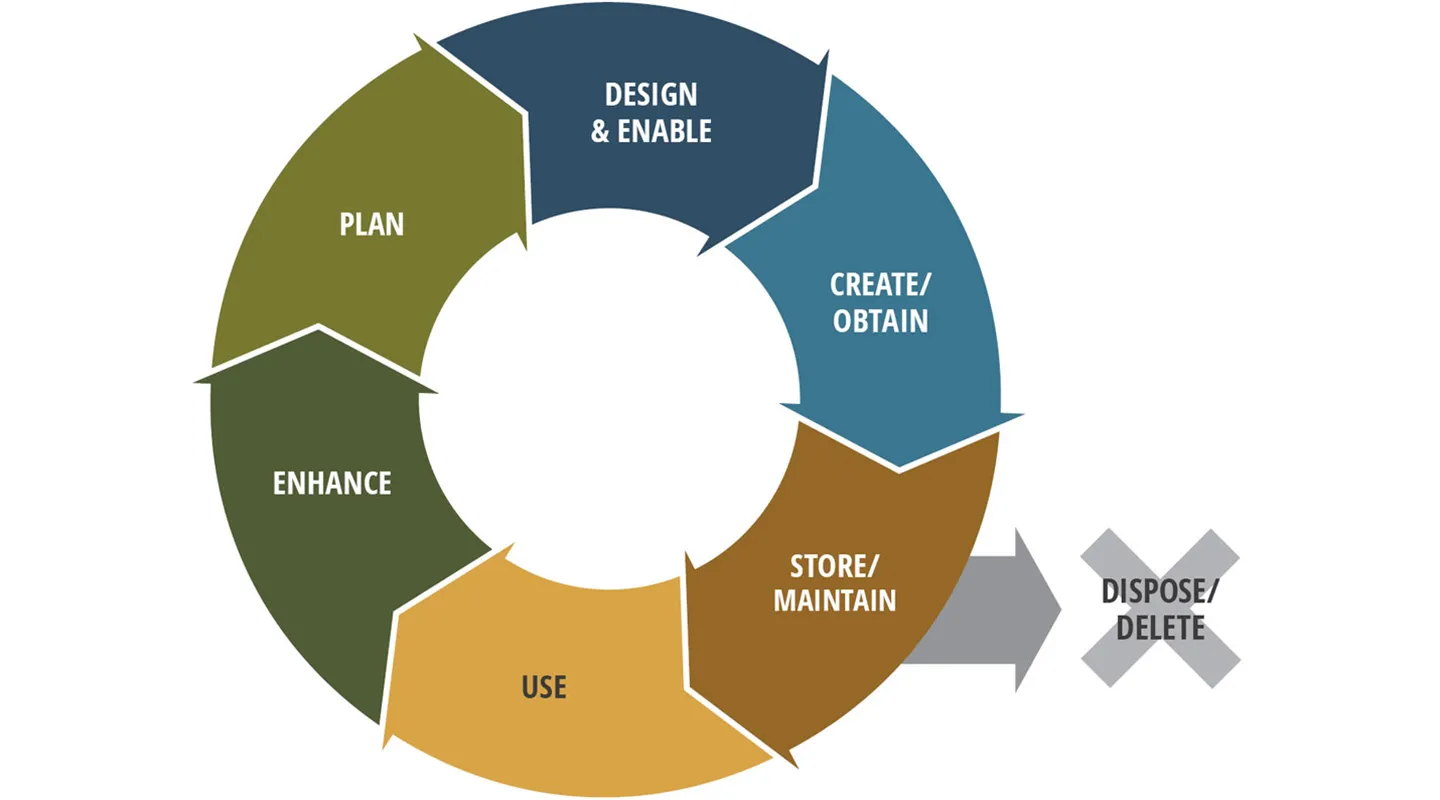 Data Management Plan Cycle