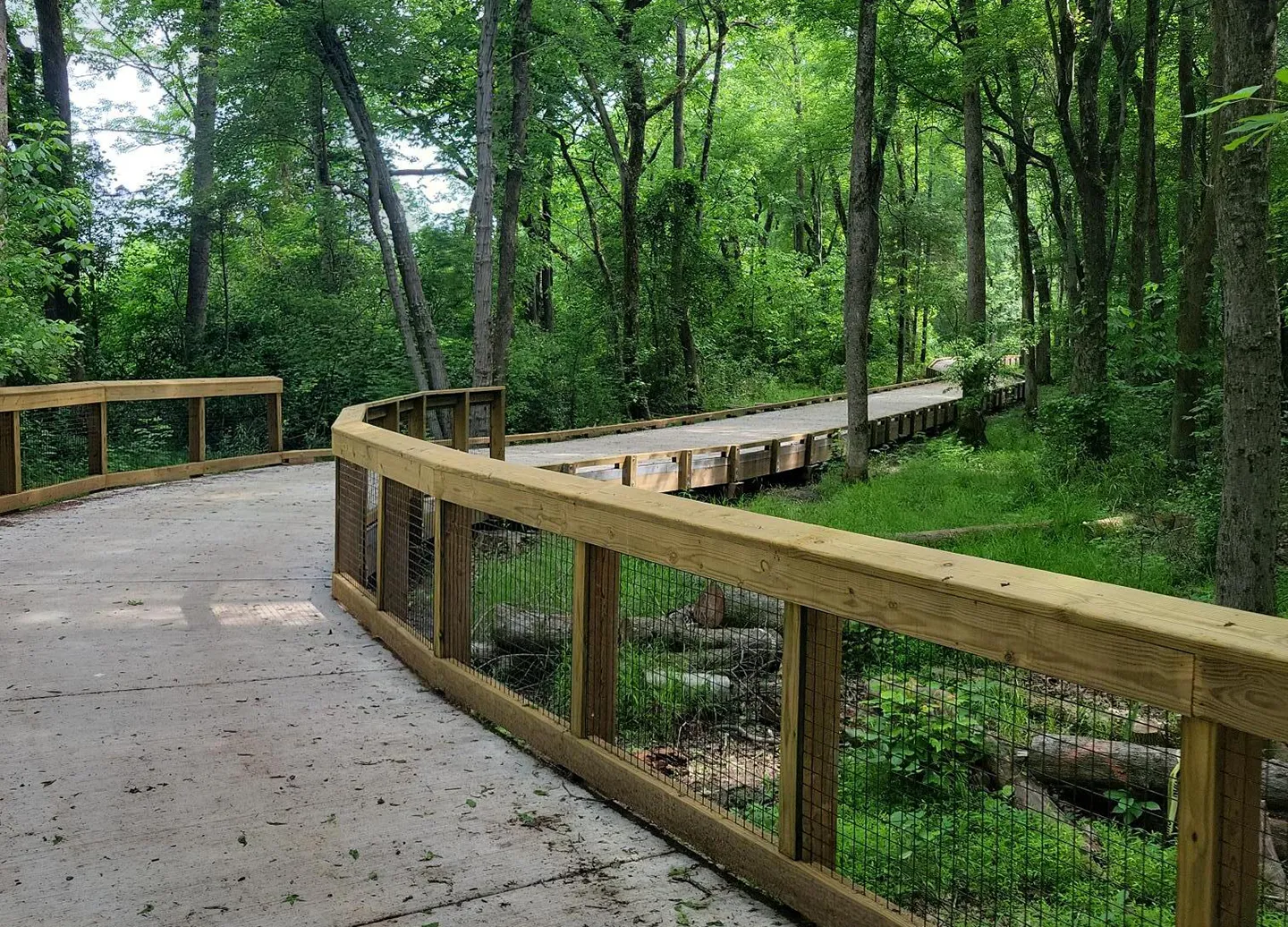 Elements of the progressive design-build approach informed the design and construction to help protect the mature trees and limit impacts to the existing wetlands at the Torrence Creek greenway in Huntersville, North Carolina.