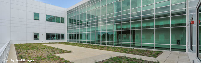Clayton-County-Restorative-Blog_5 Clayton-County-Restorative-Blog_5