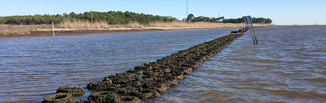 Protecting NC's Shorelines 2