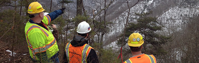 Surveyors Surveyors