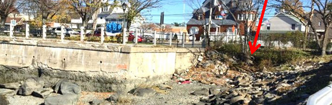 This view is the exit side of the staging area showing the bulkhead and cove area. The team avoided any interference with the bulkhead on the City Island side. 